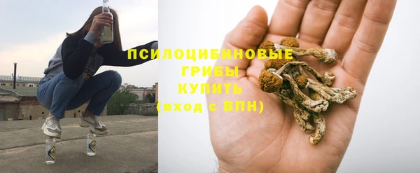 дурь Новодвинск