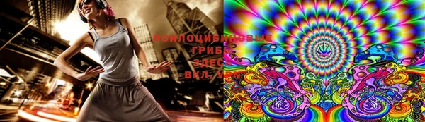 мдма Новозыбков