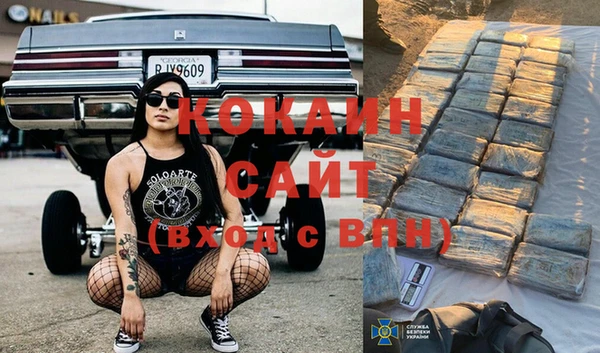 дурь Новодвинск