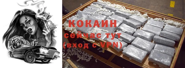 дурь Новодвинск