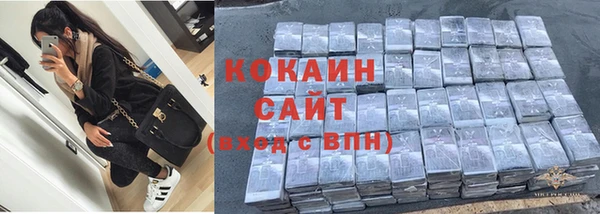 дурь Новодвинск