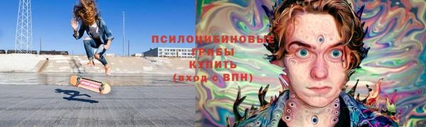 дурь Новодвинск